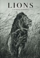 Lions. Ediz. francese, inglese e tedesca di Laurent Baheux edito da TeNeues