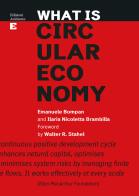 What is circular economy di Emanuele Bompan, Ilaria Nicoletta Brambilla edito da Edizioni Ambiente