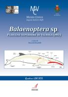 Balaenoptera sp. Pliocene superiore di Vignola (MO) edito da Edizioni Artestampa
