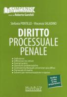 Diritto processuale penale di Stefania Pontillo, Vincenzo Saladino edito da Neldiritto Editore