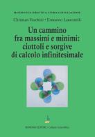 Un cammino tra massimi e minimi: ciottoli e sorgive di calcolo infinitesimale di Christian Facchini, Ermanno Lanconelli edito da Bonomo