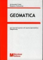 Geomatica di Alessandro Capra, Domenica Costantino edito da Mandese