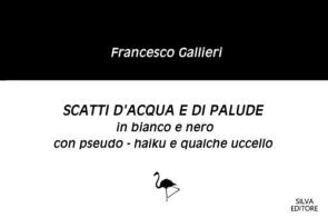 Scatti d'acqua e di palude in bianco e nero con pseudo-haiku e qualche uccello di Francesco Gallieri edito da Silva