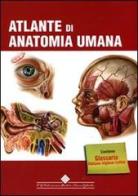 Atlante di anatomia umana. Ediz. illustrata edito da Edizioni Medico-Scientifiche