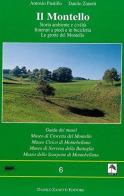 Il Montello. Storia, ambiente e civiltà. Itinerari a piedi e in bicicletta. Le grotte del Montello. Guida dei musei di Antonio Paolillo, Danilo Zanetti edito da Danilo Zanetti Editore