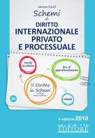Schemi di diritto internazionale privato e processuale. Con Contenuto digitale per accesso on line edito da Neldiritto Editore