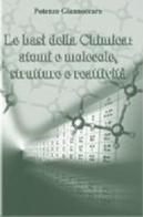Le basi della chimica. Atomi e molecole, strutture e reattività di Potenzo Giannoccaro edito da Edises