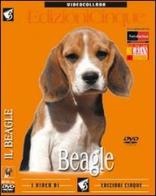 Beagle. DVD edito da Edizioni Cinque