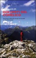 La nuova guida alle Dolomiti del Comelico. Escursioni e salite alle cime per via normale in oltre 60 proposte di Giovanni Borella, Pierluigi Secco edito da Lint Editoriale