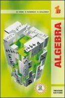 Algebra 1. Tomo B. Per le Scuole superiori vol.1 di Maria Angela Cerini, Raul Fiamenghi, Donatella Giallongo edito da Trevisini