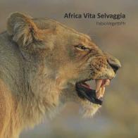 Africa vita selvaggia. Ediz. italiana e inglese edito da Studio Byblos