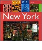 New York. Ediz. illustrata di Donna Dailey edito da Touring Il Viaggiatore