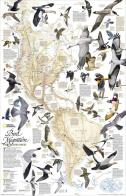 Migrazioni degli uccelli. Eurasia, Africa e Oceania. Carta murale edito da Libreria Geografica
