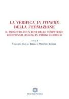 La verifica in itinere della formazione edito da Edizioni Scientifiche Italiane
