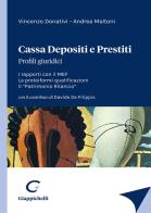 Cassa depositi e prestiti. Profili giuridici. I rapporti con il MEF. Le proteiformi qualificazioni. Il «Patrimonio Rilancio» di Vincenzo Donativi, Andrea Maltoni edito da Giappichelli