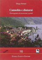 Cannobio e dintorni. Passeggiate ed escursioni a piedi di Diego Ferrari edito da Danilo Zanetti Editore