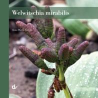 Welwitschia mirabilis di Anna Maria Carafa edito da Doppiavoce