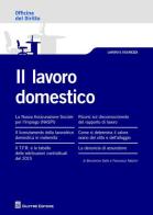 Il lavoro domestico di Francesco Natalini, Beniamino Gallo edito da Giuffrè