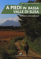 A piedi in bassa Valle di Susa. Il Musinè e altre escursioni di Filippo Ceragioli, Aldo Molino edito da Edizioni del Capricorno