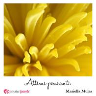 Attimi pensanti di Mariella Mulas edito da PensieriParole