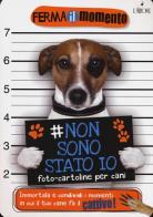 Non sono stato io. Foto-cartoline per cani edito da L'Airone Editrice Roma