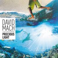 David Mach. Precious light. Ediz. multilingue edito da Vanillaedizioni