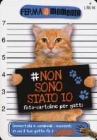 Non sono stato io. Foto-cartoline per gatti edito da L'Airone Editrice Roma