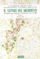 Il Seprio nel Medioevo. Longobardi nella Lombardia settentrionale (secc. VI-XIII) edito da Il Cerchio