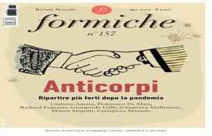 Formiche (2020) vol.157 edito da Rubbettino