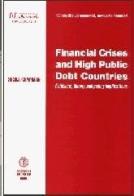 Financial crises and high public debt countries. Evidence, theory and policy implications di Sheila Chapman edito da Cacucci
