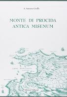 Monte di Procida. Antica Misenum di A. Antonino Gnolfo edito da Valtrend