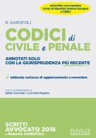 Codici di civile e penale. Annotati solo con la giurisprudenza più recente di Roberto Garofoli edito da Neldiritto Editore