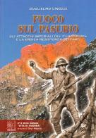 Fuoco sul Pasubio. Gli attacchi imperiali del 2 luglio 1916 e la eroica resistenza dei fanti di Guglielmo Cinozzi edito da Edelweiss