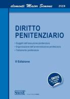 Diritto penitenziario edito da Edizioni Giuridiche Simone