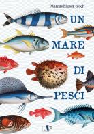 Un mare di pesci. Ediz. a colori di Marcus Elieser Bloch edito da Pulce