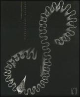 Pierluigi Ghianda di Luca Bergo, Patrizia Peracchio edito da 5 Continents Editions
