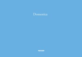 Domestica. Ediz, italiana e inglese. Ediz. illustrata di Silvia Camporesi edito da Postcart Edizioni