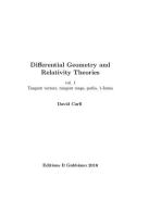 Differential geometry and relativity theories vol.1 di David Carfì edito da Il Gabbiano (Messina)