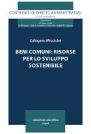 Beni comuni: risorse per lo sviluppo sostenibile di Calogero Micciché edito da Editoriale Scientifica