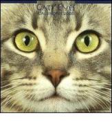 Cats'eyes. Calendario 2005 edito da Lem