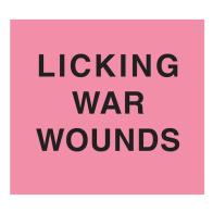 Licking war wounds. Ediz. ucraina e inglese di Andrii Dostliev, Lia Dostlieva edito da 89books