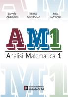 AM1 Analisi Matematica 1 di Davide Addona, Luca Lorenzi, Bianca Gariboldi edito da Esculapio