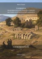 Taormina. Trasformazioni del paesaggio urbano tra tarda antichità ed alto medioevo di Marta Venuti edito da Quasar