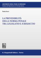 La prevedibilità della norma penale tra legislatio e iurisdictio di Paola Scevi edito da Giappichelli
