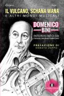 Il vulcano, Schana Wana e altri mondi musicali. Domenico Bini intervistato da Stefano Orlando Puracchio di Stefano Orlando Puracchio, Domenico Bini edito da Demian Edizioni