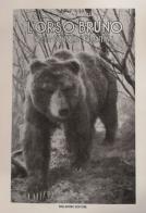 L' orso bruno nella Venezia Tridentina di Guido Castelli edito da Palladino Editore