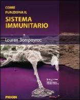 Come funziona il sistema immunitario di Lauren Sompayrac edito da Piccin-Nuova Libraria