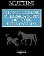 Atlante a colori di laparoscopia del cane e del cavallo di Aurelio Muttini edito da Il Sole 24 Ore Edagricole