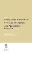 Singularities in nonlinear. Evolution phenomena and applications, proceedings edito da Scuola Normale Superiore