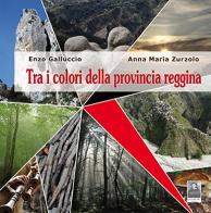 Tra i colori della provincia reggina di Enza Galluccio, Anna M. Zurzolo edito da Città del Sole Edizioni
